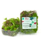 Mimis Cress mix