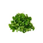 Pak choy cress