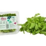 Sage cress